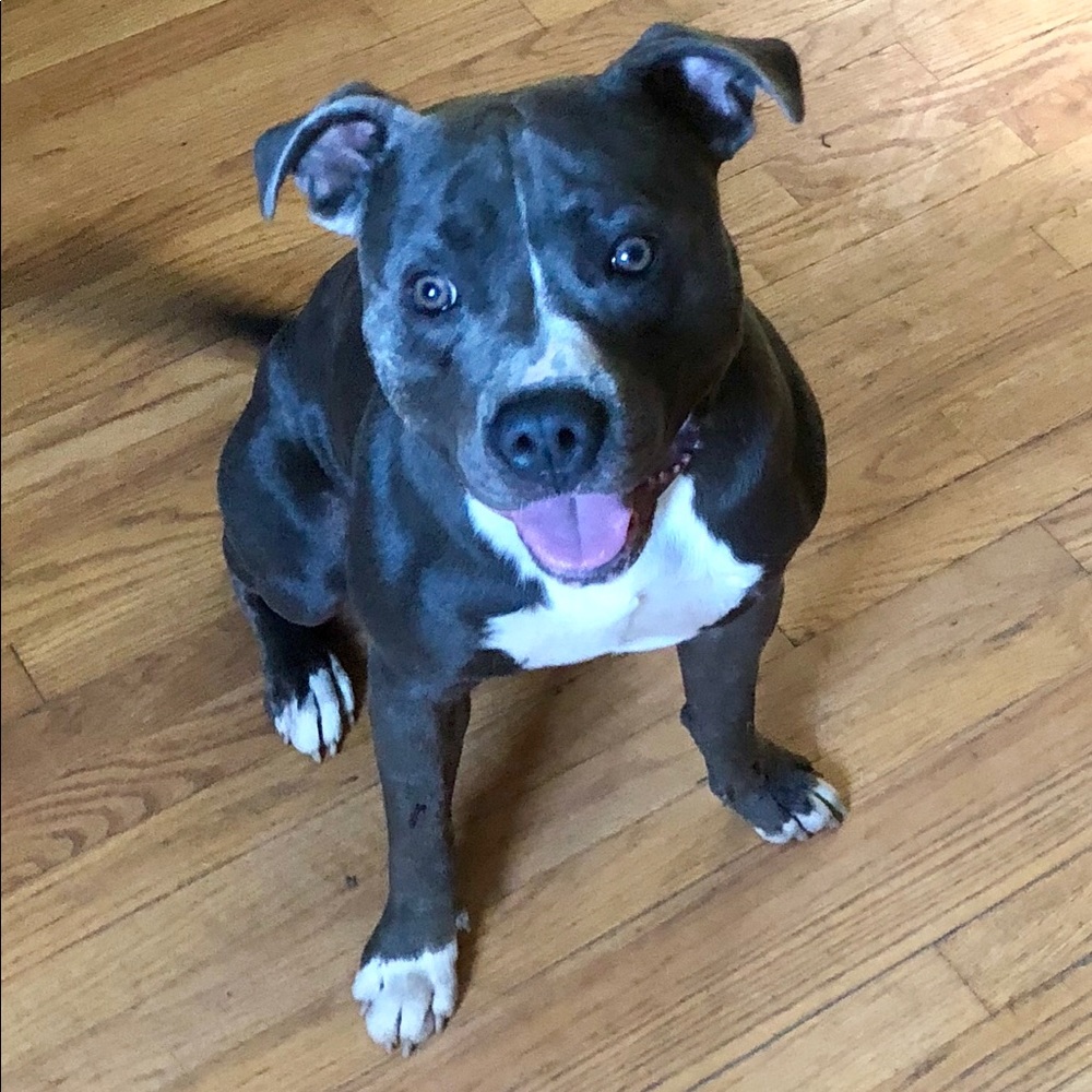 Meet your Posher, Ellie